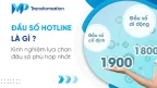 Đầu số Hotline là gì? Kinh nghiệm lựa chọn đầu số phù hợp nhất
