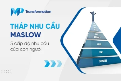 Tháp nhu cầu Maslow là gì 5 cấp độ nhu cầu của con người