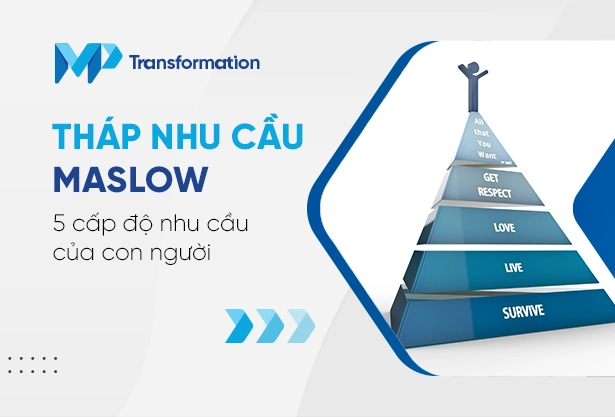 Tháp nhu cầu Maslow là gì 5 cấp độ nhu cầu của con người