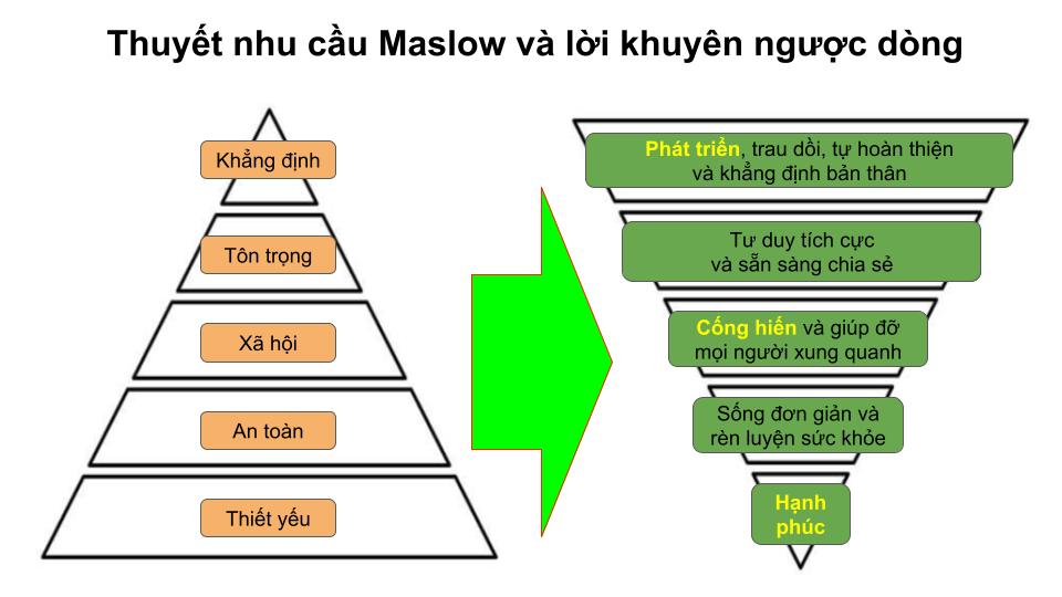 Các biến thể và phiên bản mở rộng của tháp nhu cầu Maslow