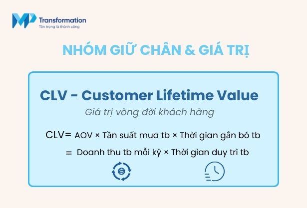 Giá trị vòng đời khách hàng (CLV - Customer Lifetime Value)