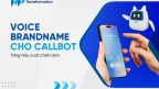 Voice Brandname cho Callbot – Tăng hiệu suất chiến dịch