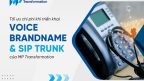 Tối ưu chi phí khi triển khai Voice Brandname & SIP Trunk