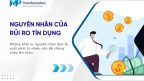 Nguyên nhân dẫn đến rủi ro tín dụng và cách kiểm soát
