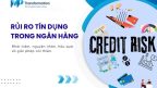 Các loại rủi ro tín dụng trong ngân hàng